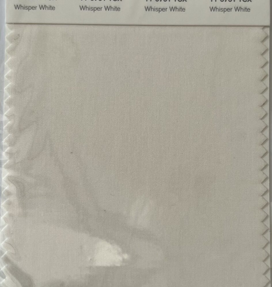 Pantone Swatch Card 11-0701 TCX Whisper White