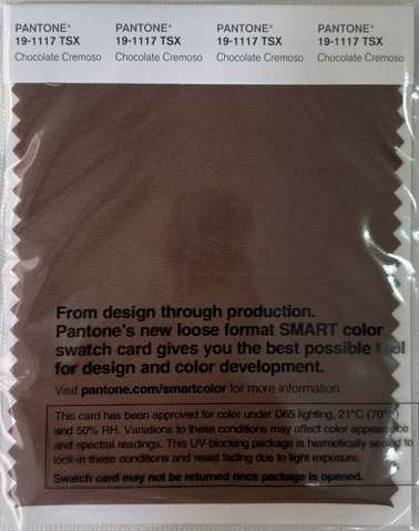 Pantone Swatch Card 19-1117TSX	Chocolate Cremoso