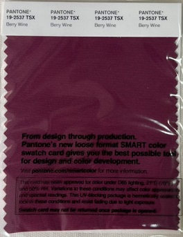 Pantone Swatch Card 19-2537TSX	Berry Wine