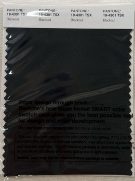 Pantone Swatch Card 19-4301TSX	Blackout