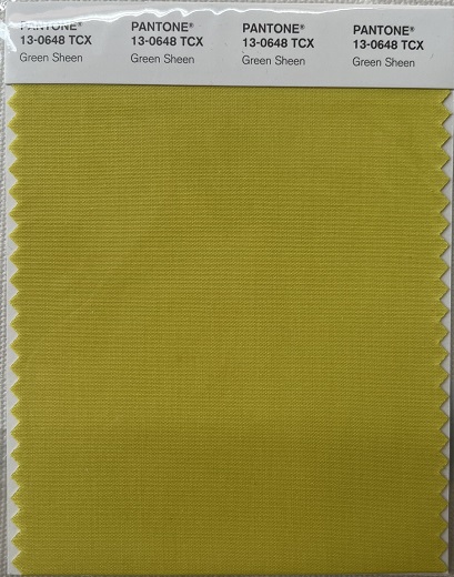 Pantone TCX Cotton Swatch Card 13-0648 TCX Green Sheen