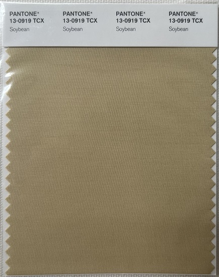 Pantone TCX Cotton Swatch Card 13-0919 TCX Soybean