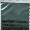 Pantone-TCX-Cotton-Swatch-Card-19-5920-TCX-Pineneedle